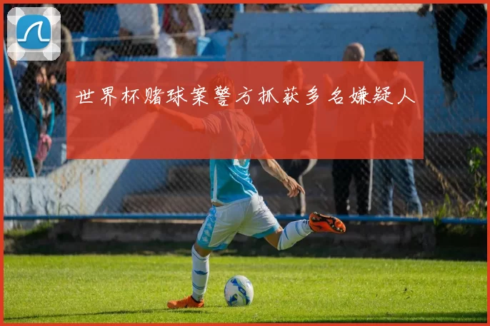 世界杯赌球案警方抓获多名嫌疑人