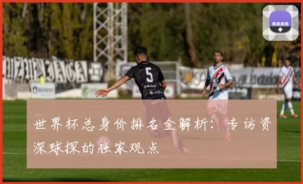 世界杯总身价排名全解析:专访资深球探的独家观点