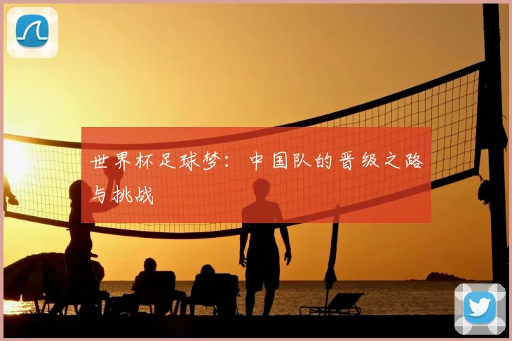 世界杯足球梦：中国队的晋级之路与挑战
