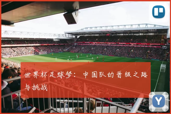 世界杯足球梦:中国队的晋级之路与挑战