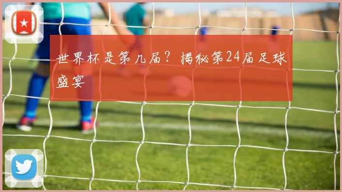 世界杯是第几届?揭秘第24届足球盛宴