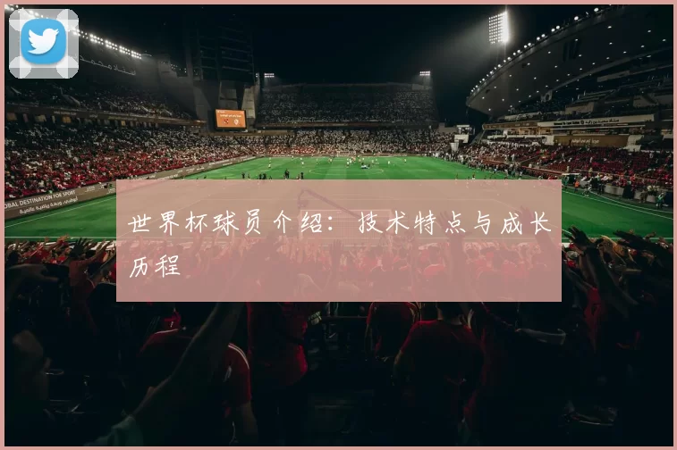世界杯球员介绍:技术特点与成长历程