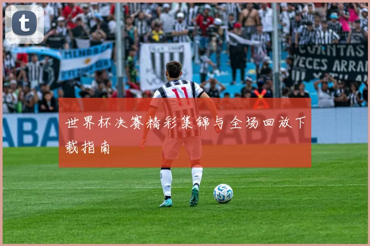世界杯决赛精彩集锦与全场回放下载指南