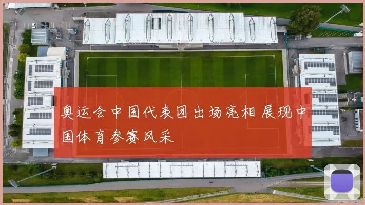 奥运会中国代表团出场亮相 展现中国体育参赛风采