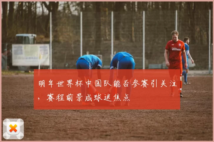明年世界杯中国队能否参赛引关注,赛程前景成球迷焦点