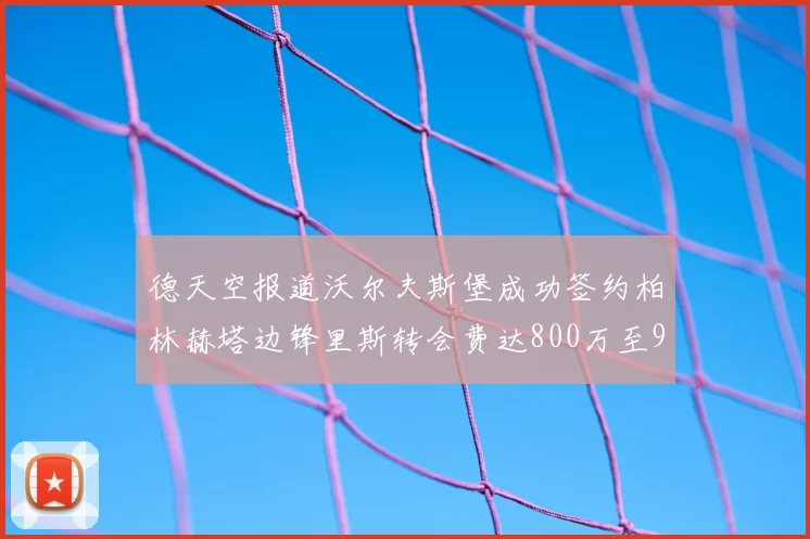 德天空报道沃尔夫斯堡成功签约柏林赫塔边锋里斯转会费达800万至900万欧元