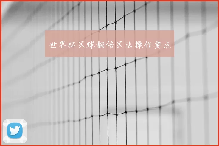 世界杯买球翻倍买法操作要点