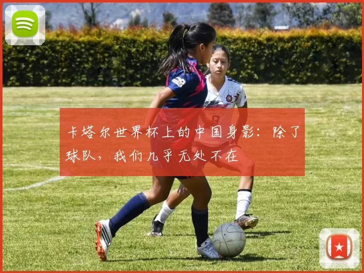 卡塔尔世界杯上的中国身影：除了球队，我们几乎无处不在
