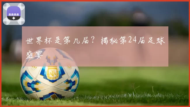 世界杯是第几届?揭秘第24届足球盛宴